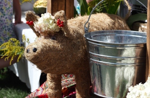 Fot: Edyta Białkowska