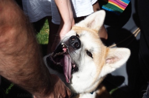 Fot: Edyta Białkowska