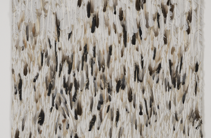 C.T. Jasper i J. Malinowska, Ptaki egzotyczne (fot. CMWŁ)