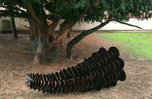 KAMIL ZAITZ- POLSKA | „SZYSZKA”