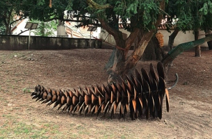 KAMIL ZAITZ- POLSKA | „SZYSZKA”